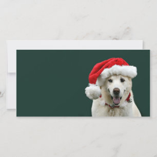 Gul lab jul julkort