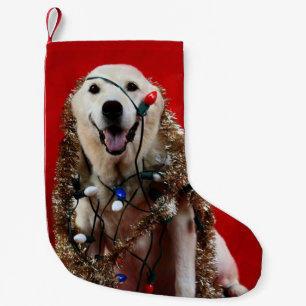 Gul lab jul liten julstrumpa