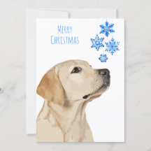 Gul lab jul Snowflake Cute Hund Labrador