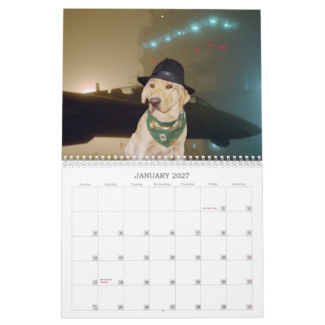 Gul lab kalender - 2013 (Jan 2027)