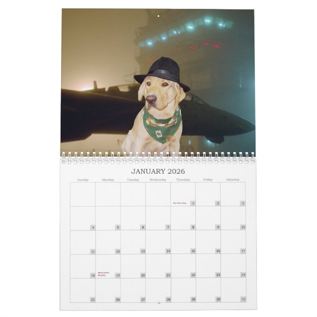 Gul lab kalender - 2013 (Jan 2026)
