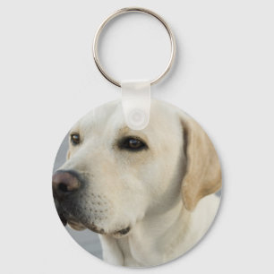 Gul lab Keychain Nyckelring