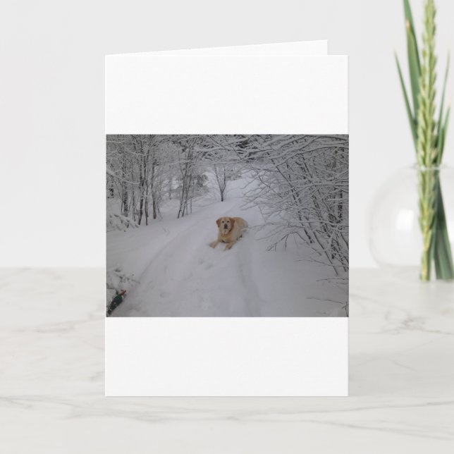 Gul lab koppla av i ny vintersnö helgkort (Framsida)