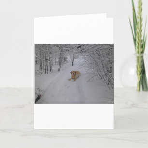 Gul lab koppla av i ny vintersnö helgkort