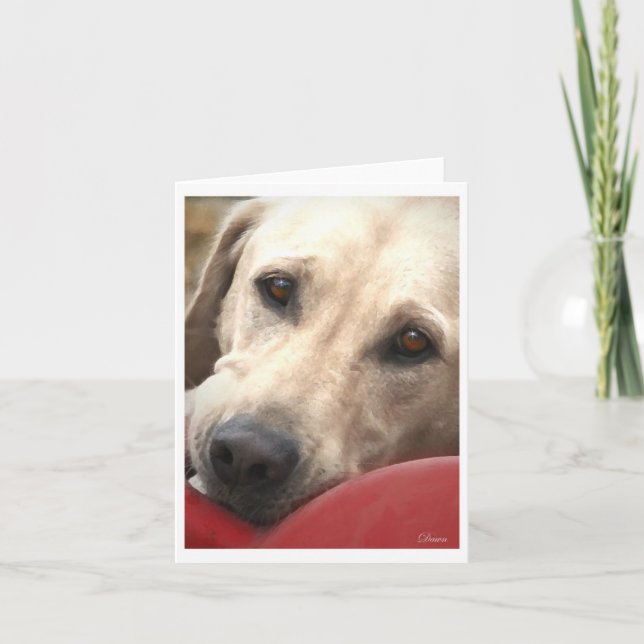 Gul lab kort (Framsida)