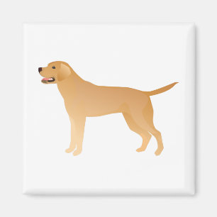Gul lab - Labrador Retriever Breed Silhouette Magnet