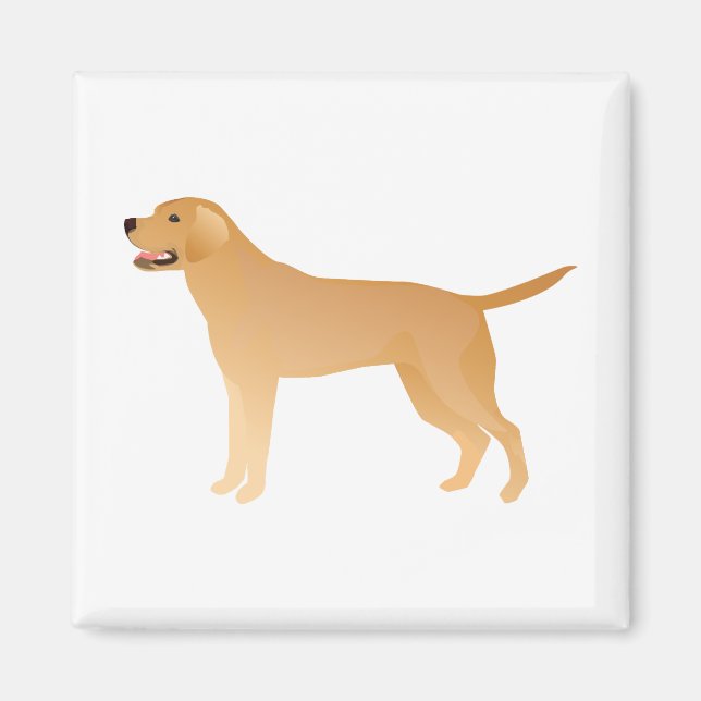 Gul lab - Labrador Retriever Breed Silhouette Magnet (Framsidan)