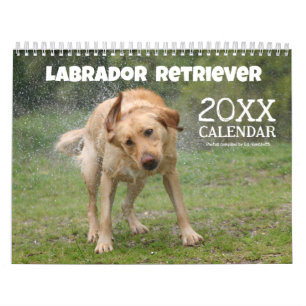 Gul Lab Labrador Retriever Söt Hund Kalender