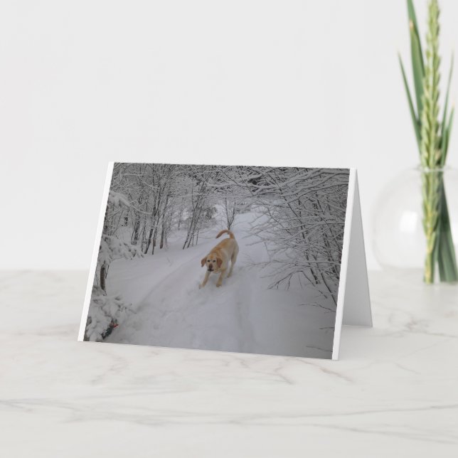Gul lab leka i ny vintersnö helgkort (Framsida)