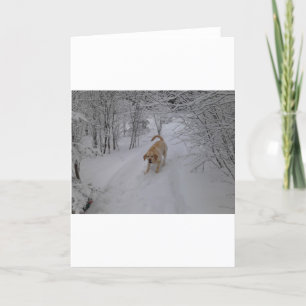 Gul lab leka i ny vintersnö helgkort