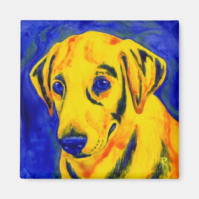 Gul lab Magnet - "Archie" (Framsidan)