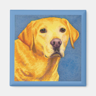 Gul lab magnet - "Mixsy ",
