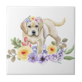 Gul lab marionett kakelplatta