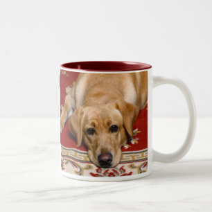 Gul lab mugg