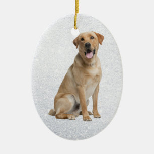 gul lab ornament