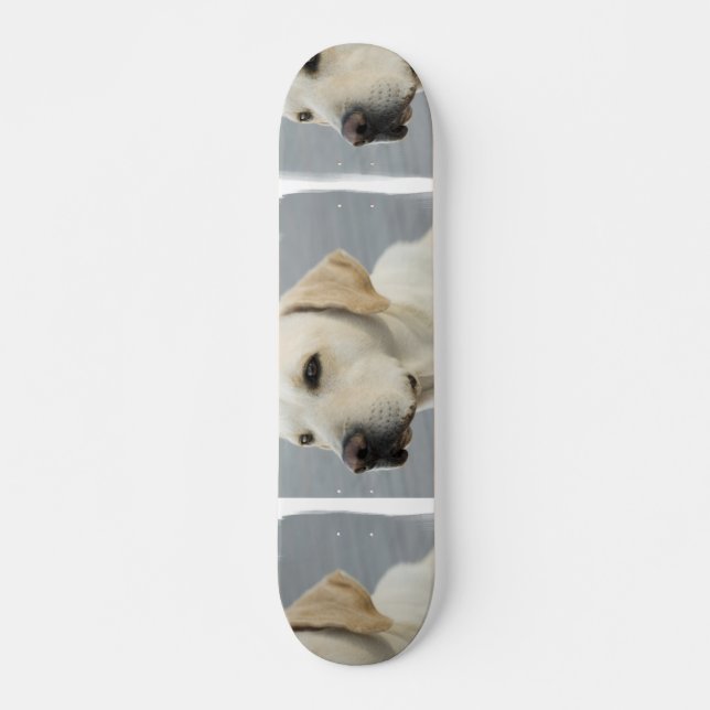 Gul lab Skateboard (Framsida)