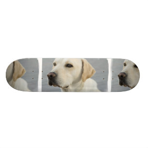 Gul lab Skateboard
