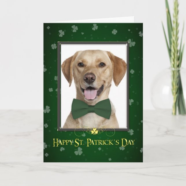 Gul lab St. Patrick-Day Card Kort (Framsida)