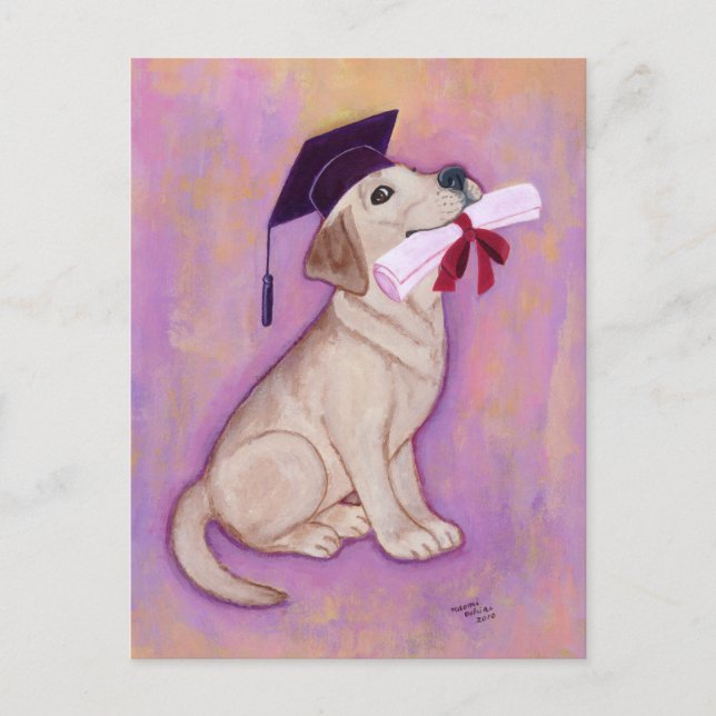 Gul Labrador-Examen Meddelande Vykort (Framsida)