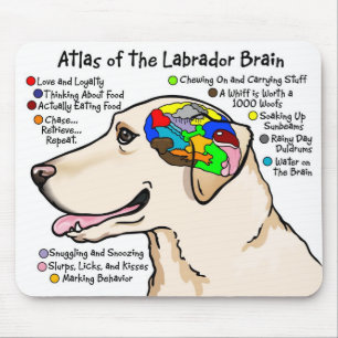 Gul Labrador hjärnkartbok Musmatta