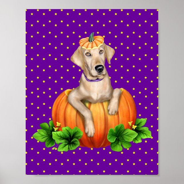 Gul Labrador Labr-O-Lyktan Poster (Framsidan)