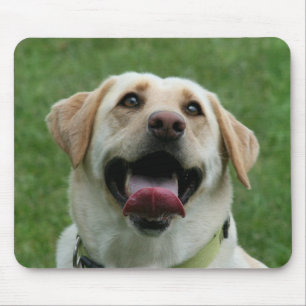 Gul Labrador mousepad Musmatta