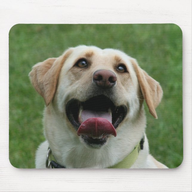 Gul Labrador mousepad Musmatta (Framsidan)