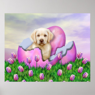 Gul Labrador påsköverrrakning Poster