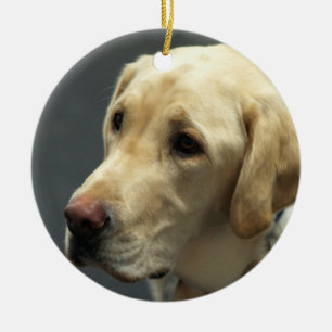 Gul Labrador prydnad Julgransprydnad Keramik