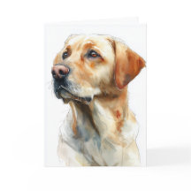 Gul labrador retriever akvarell