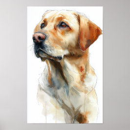 Gul labrador retriever akvarell poster