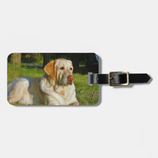 Gul Labrador Retriever Bagagebricka