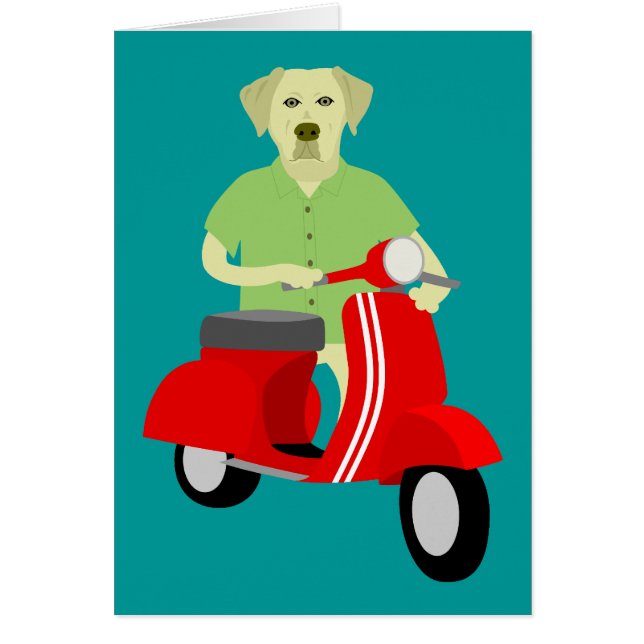 Gul Labrador Retriever Hälsningskort (Framsidan)