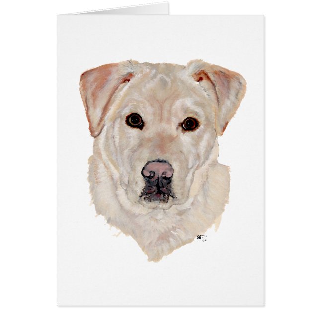 Gul Labrador Retriever Hälsningskort (Framsidan)