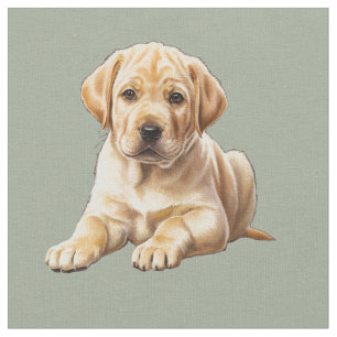 Gul Labrador Retriever Hundtyg Tyg