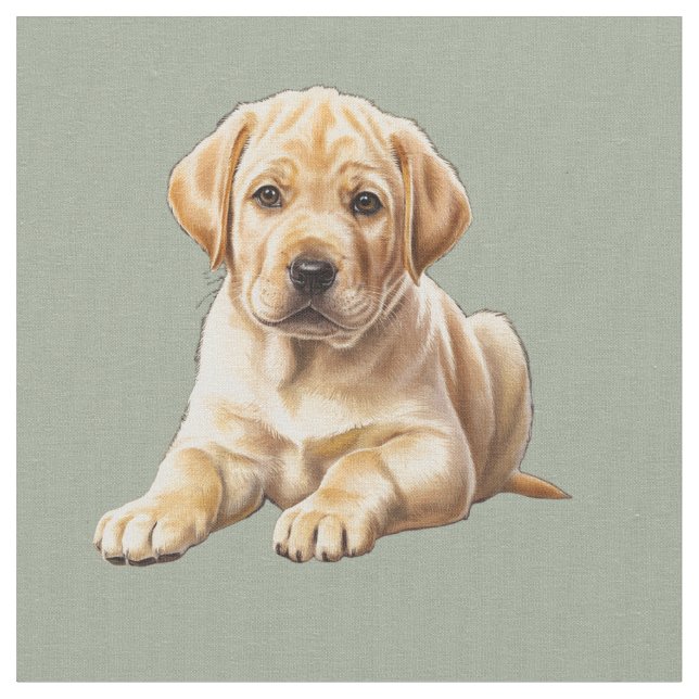 Gul Labrador Retriever Hundtyg Tyg (Närbild)