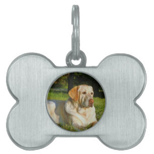 Gul Labrador Retriever ID-bricka Husdjur