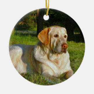Gul Labrador Retriever Julgransprydnad Keramik