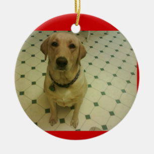 gul Labrador retriever Julgransprydnad Keramik