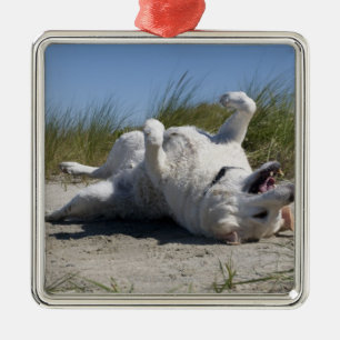 Gul Labrador Retriever Julgransprydnad Metall
