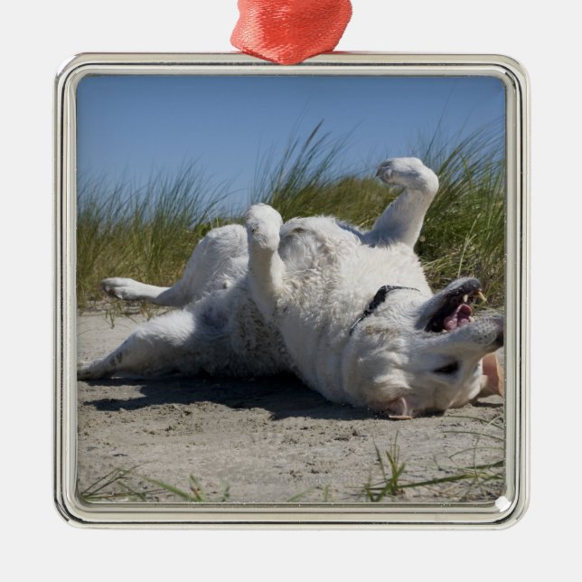 Gul Labrador Retriever Julgransprydnad Metall (Framsidan)