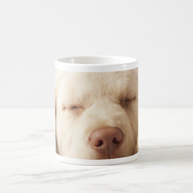 Gul Labrador Retriever Kaffemugg (Center)
