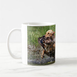 Gul Labrador Retriever med ankamuggen Kaffemugg