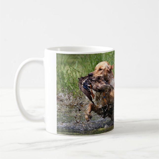 Gul Labrador Retriever med ankamuggen Kaffemugg (Vänster)