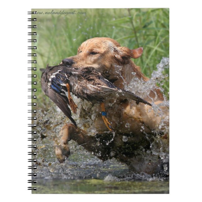 Gul Labrador Retriever med ankan Anteckningsbok (Framsidan)