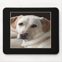 Gul Labrador Retriever Mousepad
