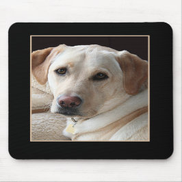 Gul Labrador Retriever Mousepad Musmatta