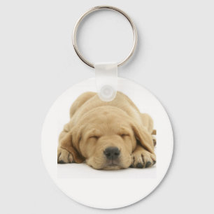 Gul Labrador Retriever Nyckelring