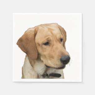 Gul Labrador Retriever Pappersservett