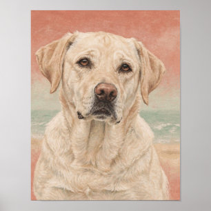 Gul Labrador Retriever Porträtt i Korall och Sa Poster